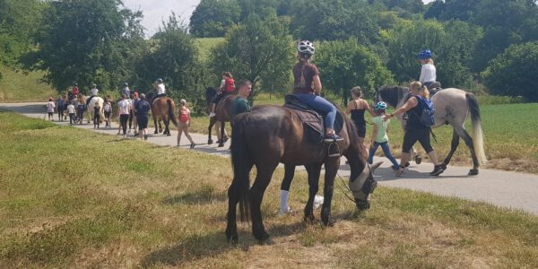 Ferienprogramm beim RV