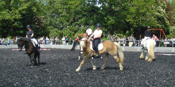 Pferdetag mit Spiel & Spaß