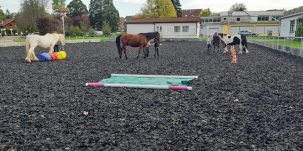 Bodenarbeit mit Körpersprache