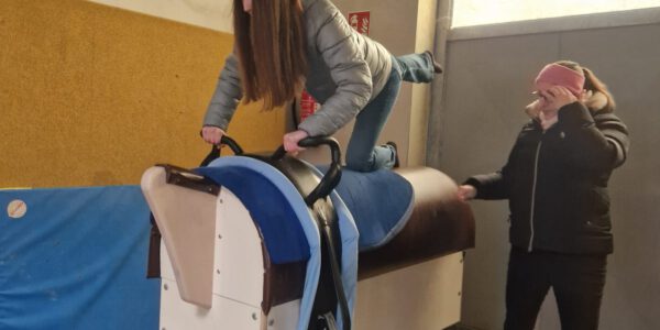 Trainerlehrgang Voltigieren