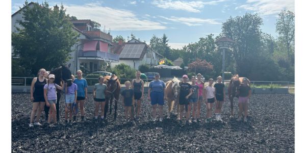 Zwischen 37 Grad und Pferdespaß